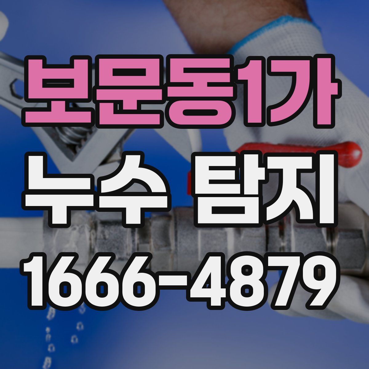 보문동1가 누수 탐지