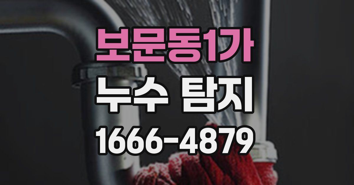 보문동1가 누수 탐지