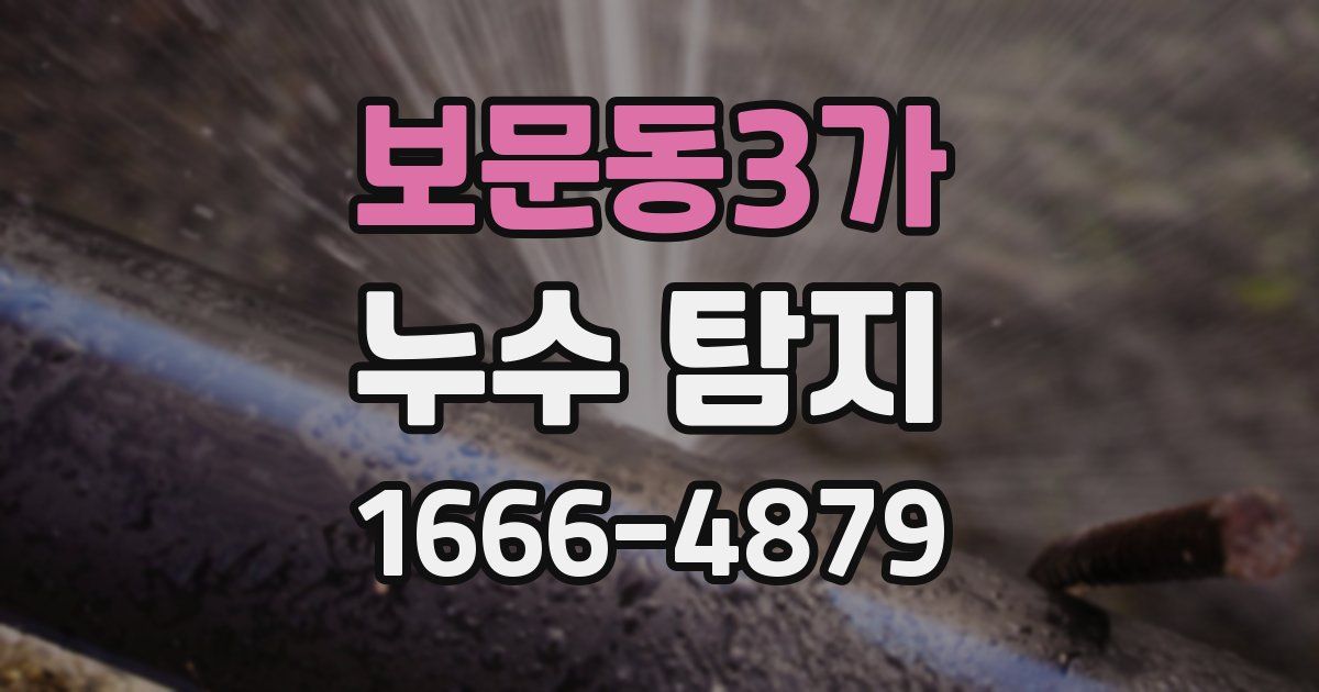보문동3가 누수 탐지