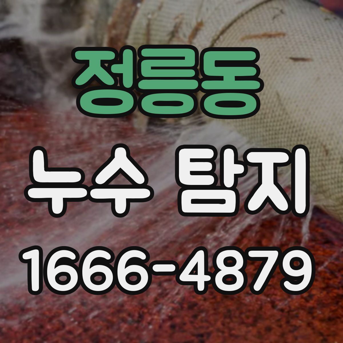 정릉동 누수 탐지
