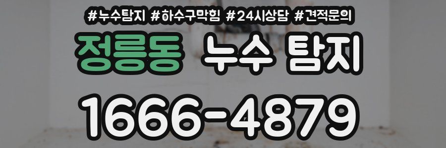 정릉동 누수 탐지