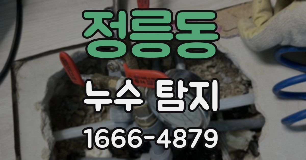 정릉동 누수 탐지