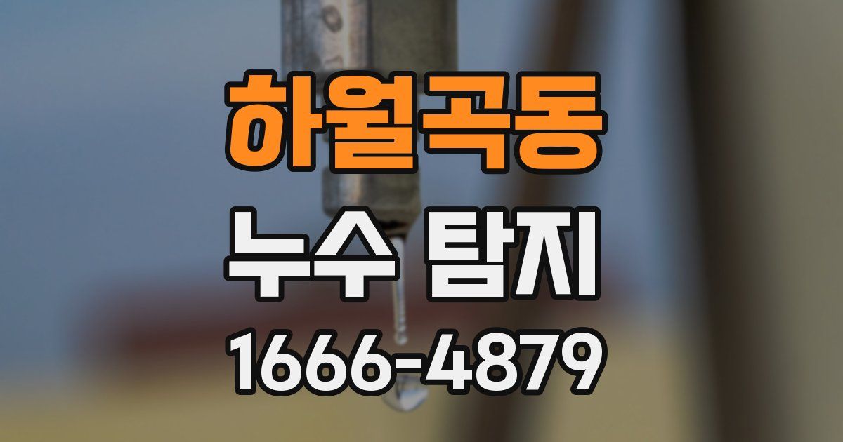 하월곡동 누수 탐지
