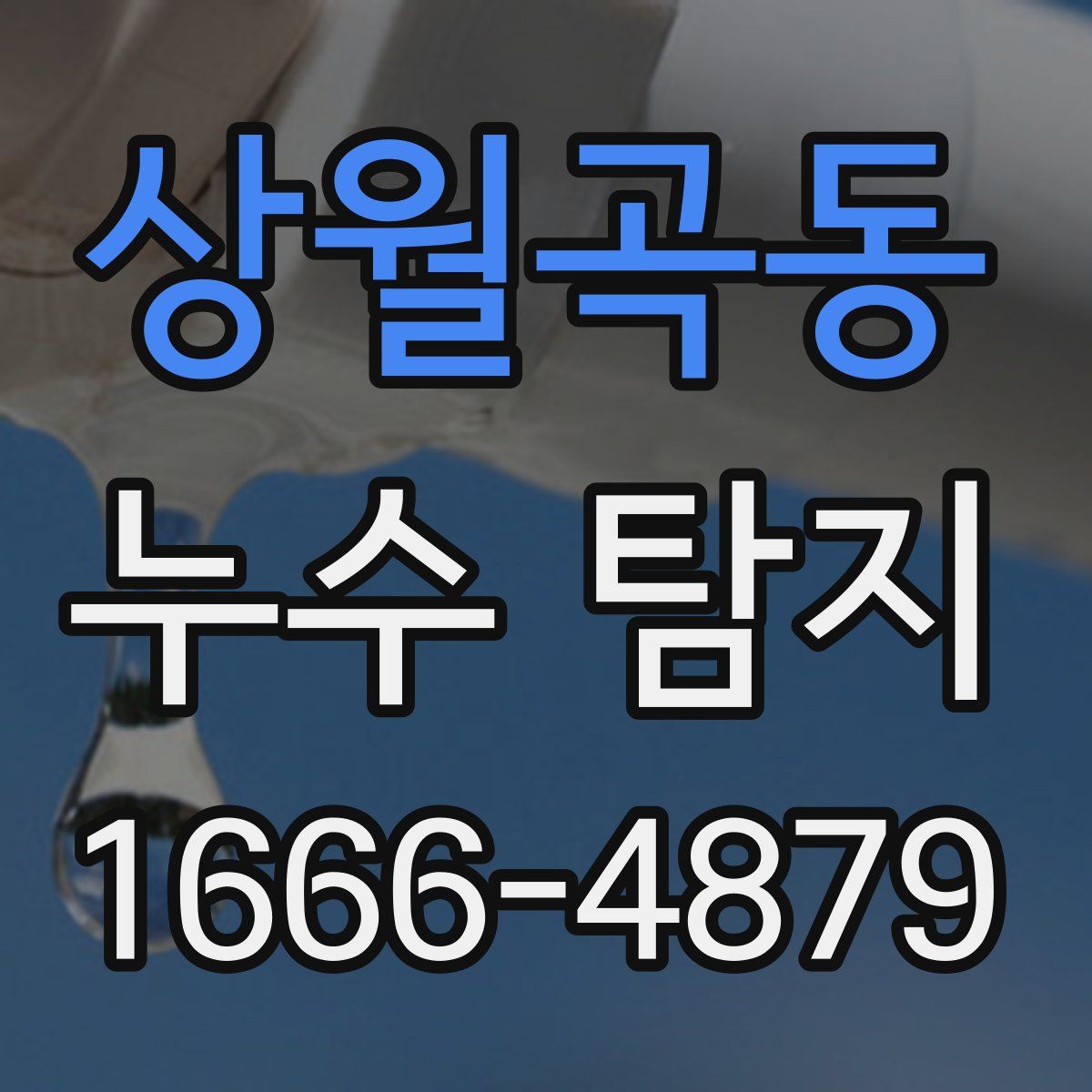 상월곡동 누수 탐지
