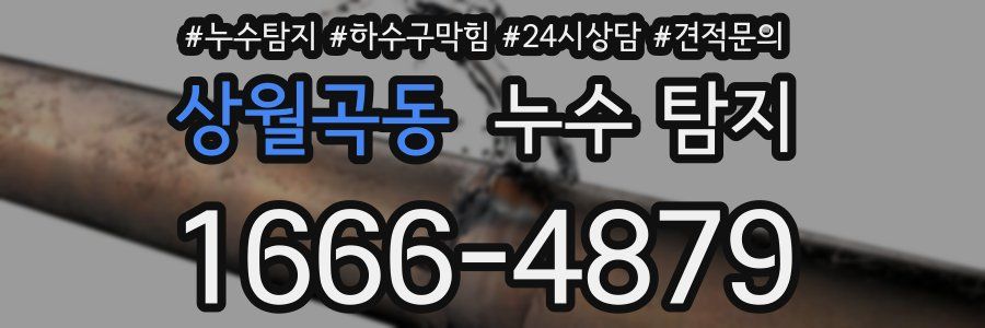 상월곡동 누수 탐지