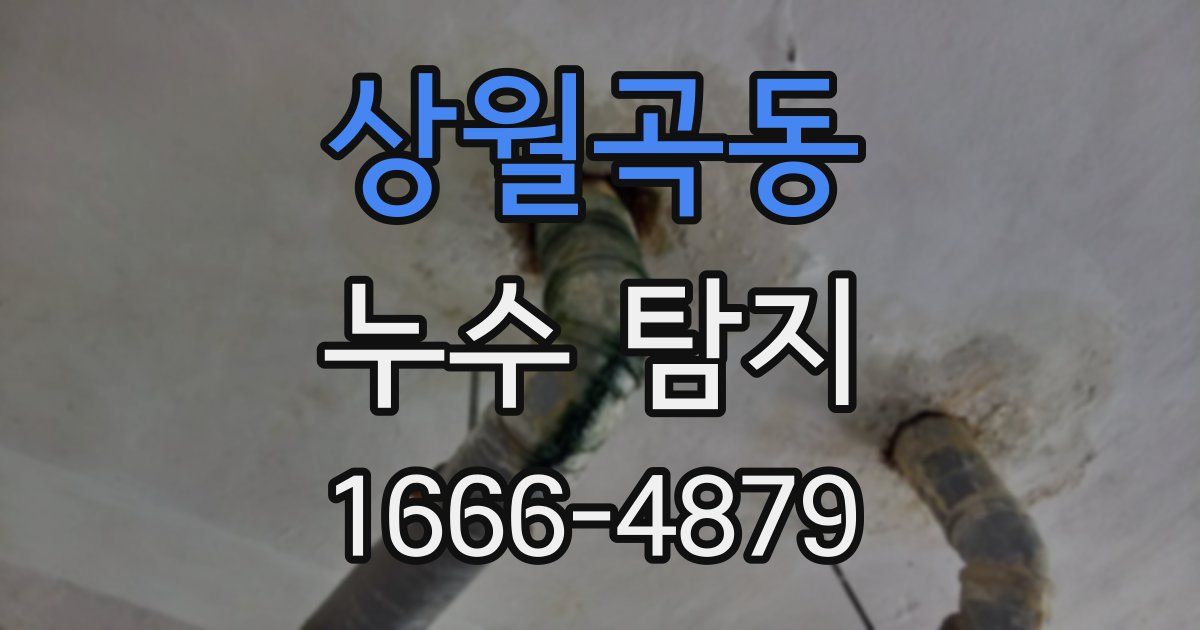 상월곡동 누수 탐지