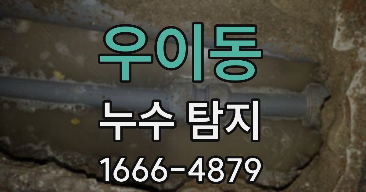우이동 누수 탐지