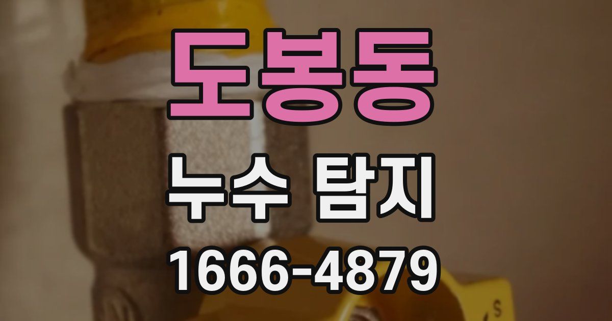 도봉동 누수 탐지
