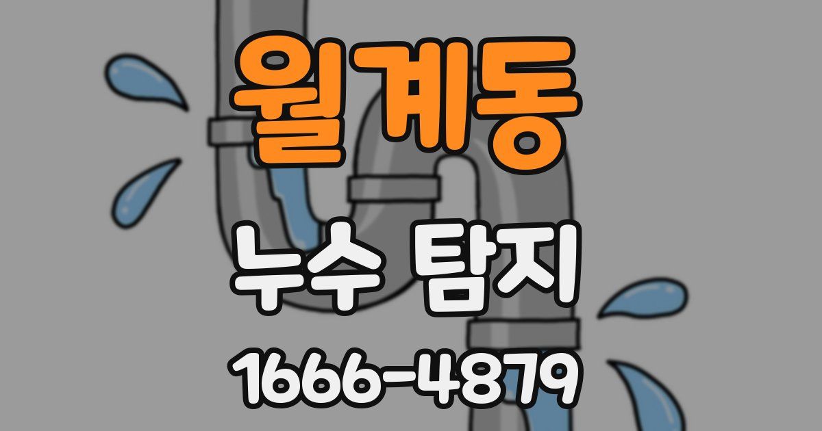 월계동 누수 탐지
