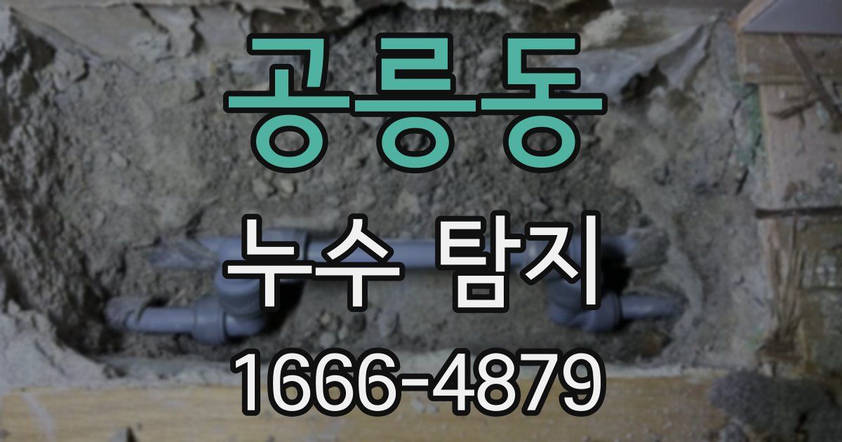 공릉동 누수 탐지