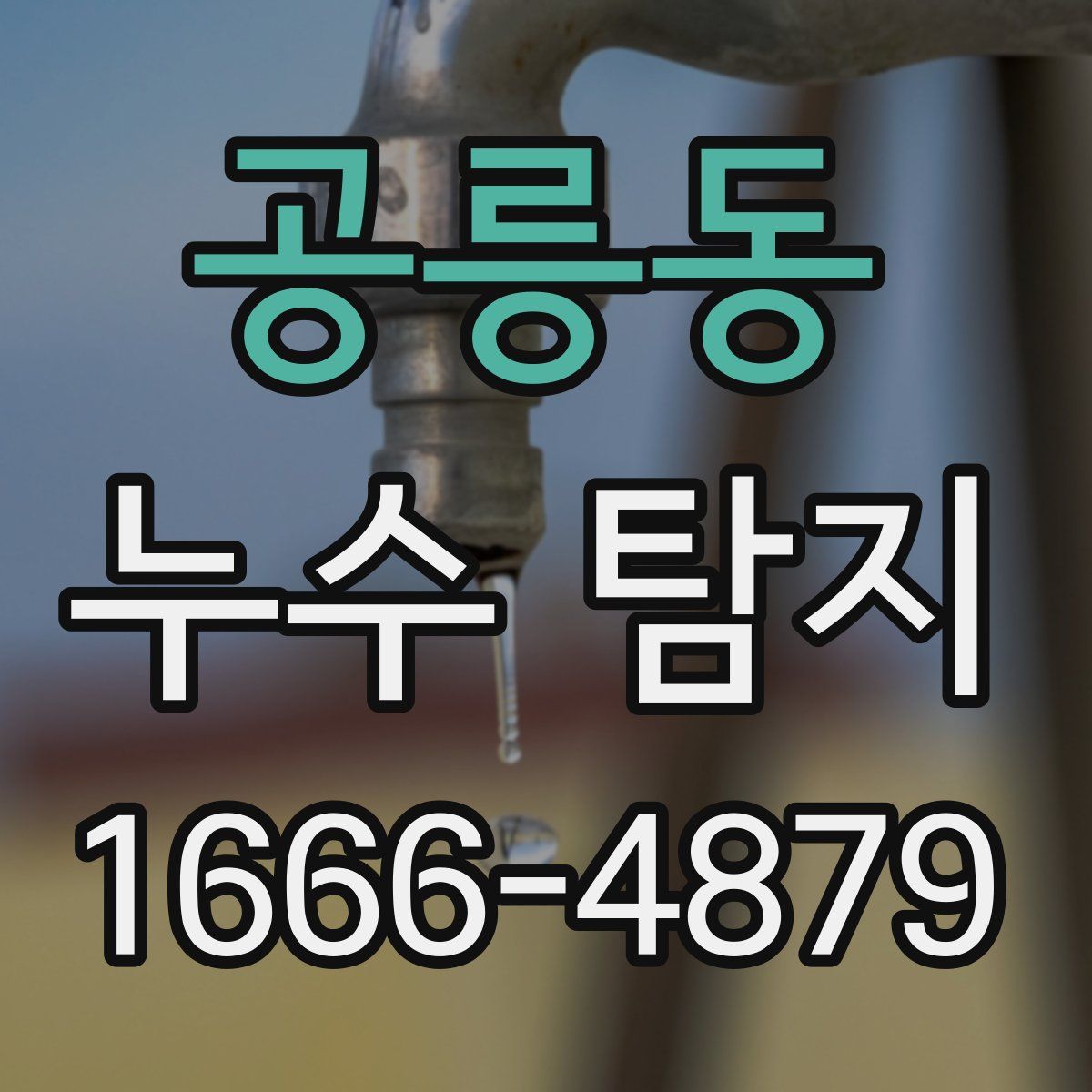 공릉동 누수 탐지