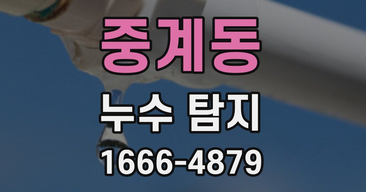 중계동 누수 탐지