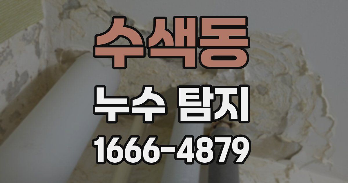 수색동 누수 탐지