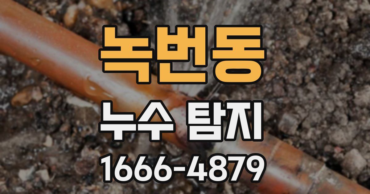 녹번동 누수 탐지