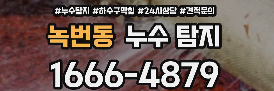 녹번동 누수 탐지