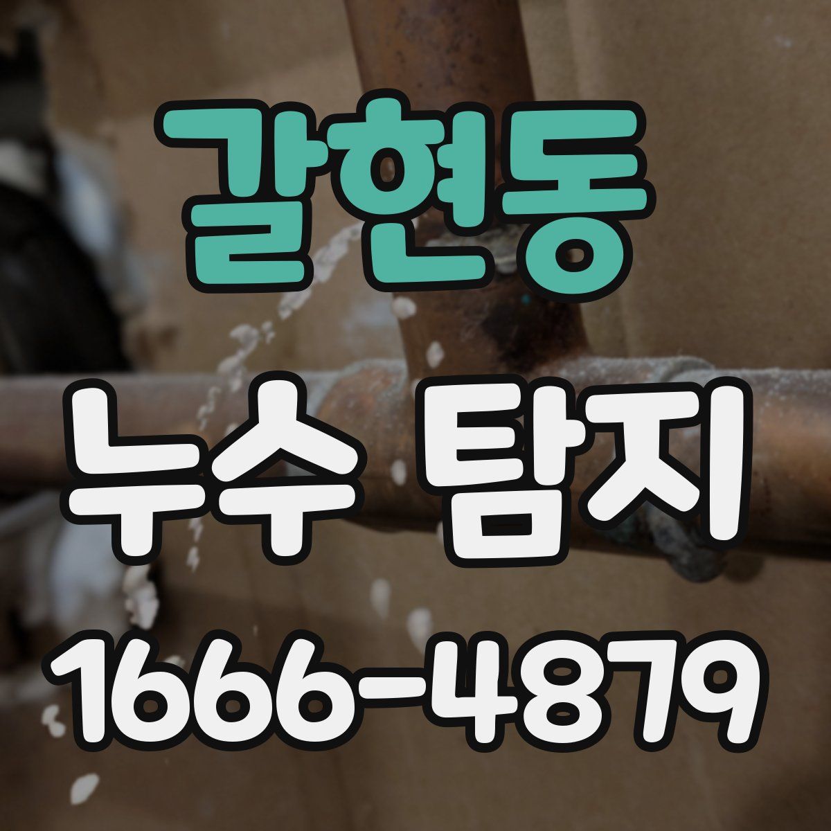 갈현동 누수 탐지