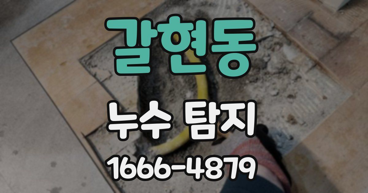갈현동 누수 탐지
