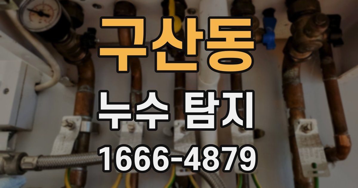 구산동 누수 탐지