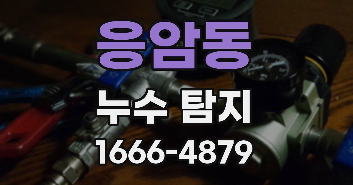 응암동 누수 탐지
