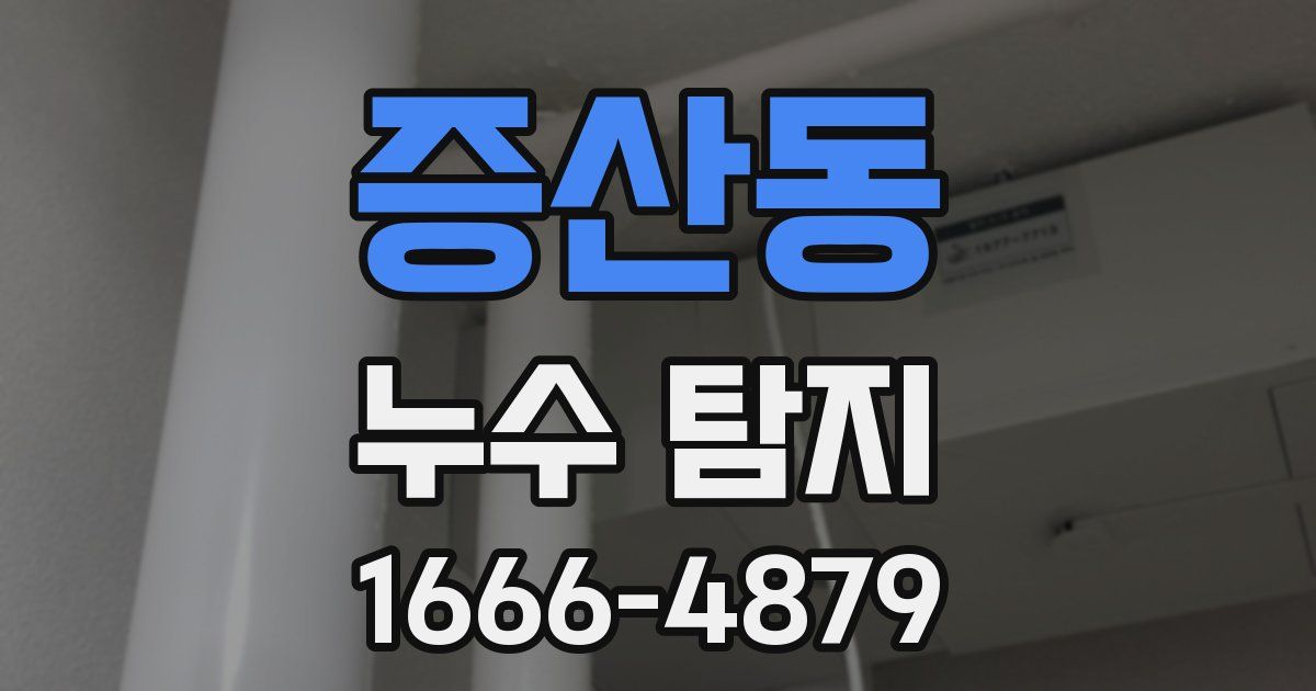 증산동 누수 탐지