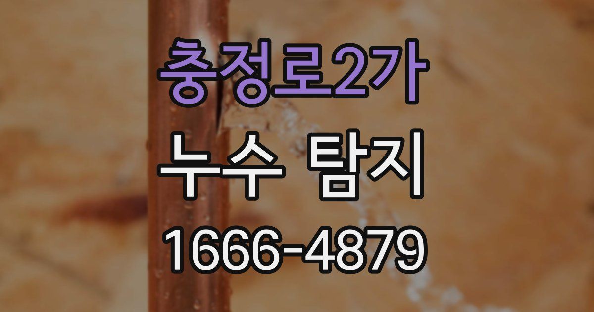 충정로2가 누수 탐지