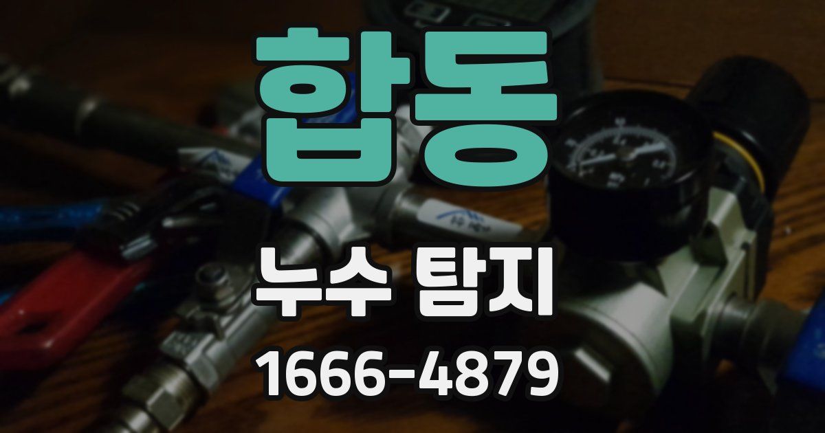 합동 누수 탐지