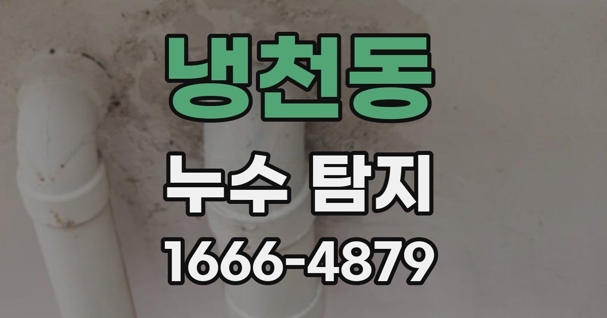 냉천동 누수 탐지
