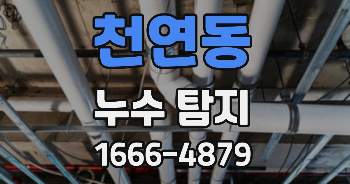 천연동 누수 탐지