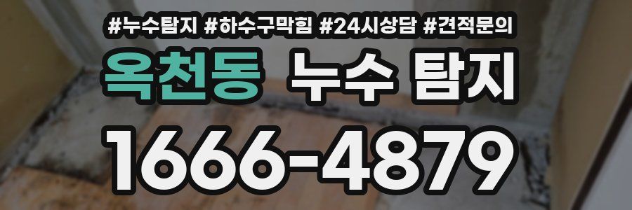 옥천동 누수 탐지