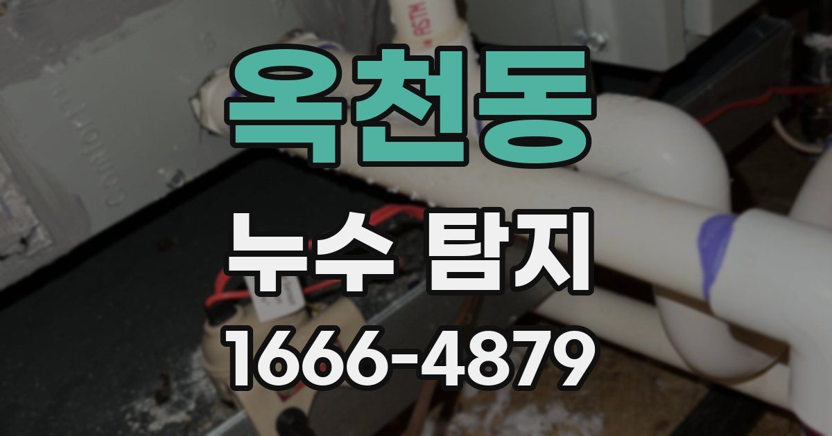 옥천동 누수 탐지
