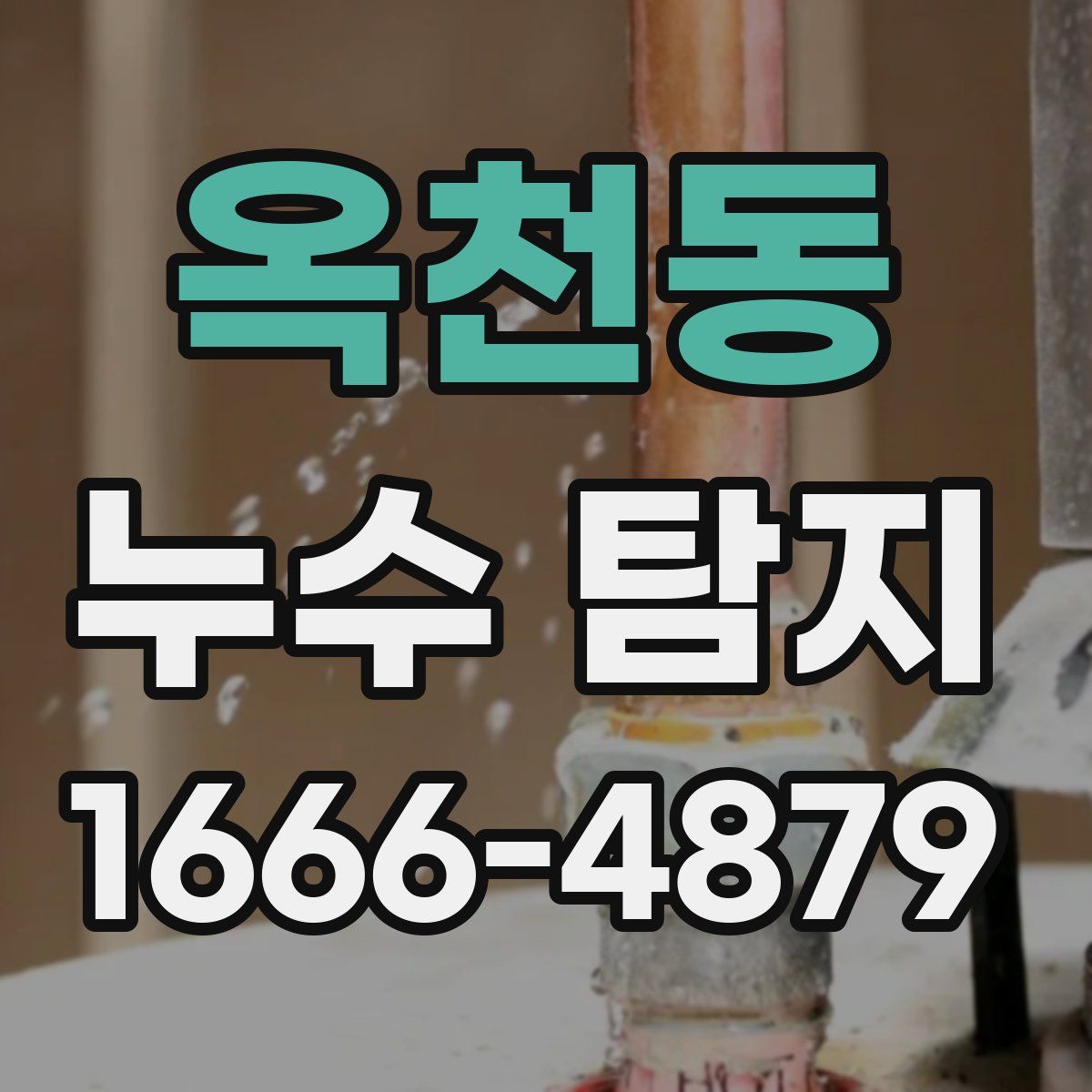 옥천동 누수 탐지