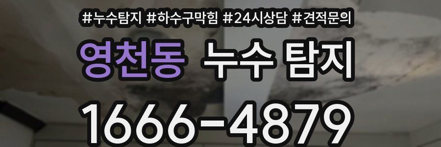 영천동 누수 탐지