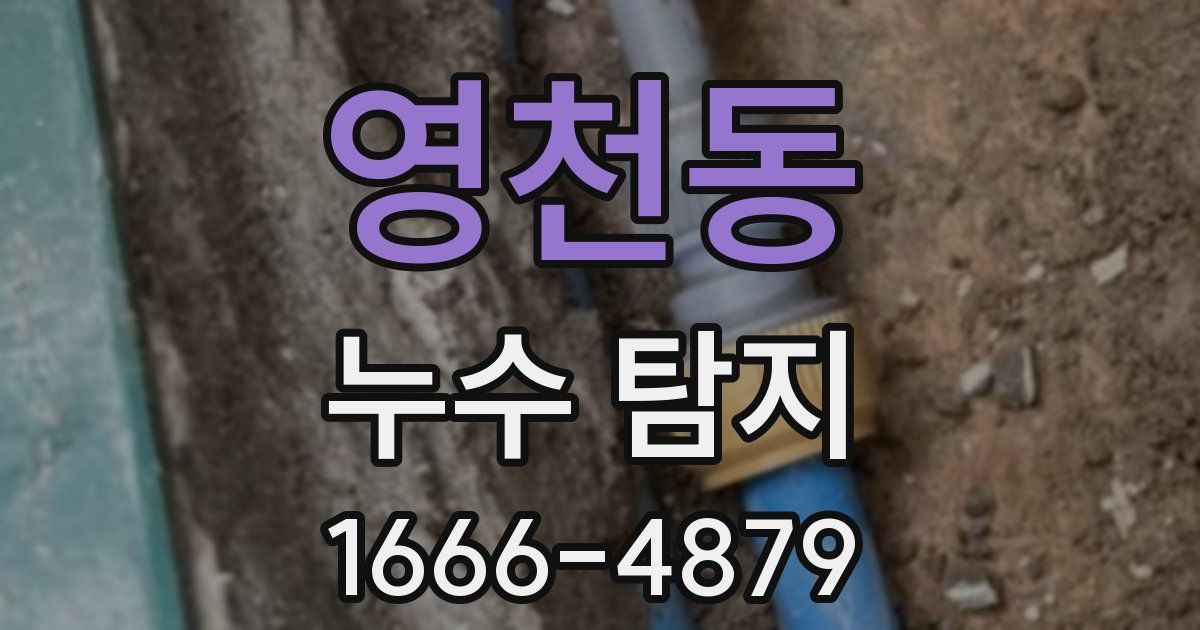 영천동 누수 탐지