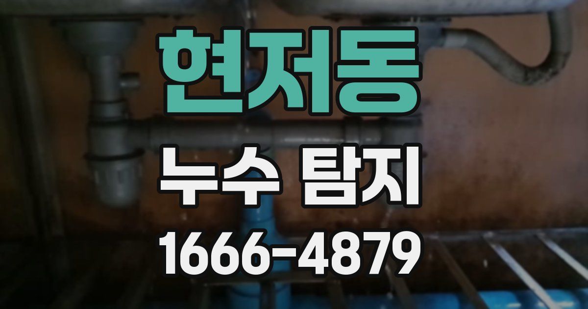 현저동 누수 탐지