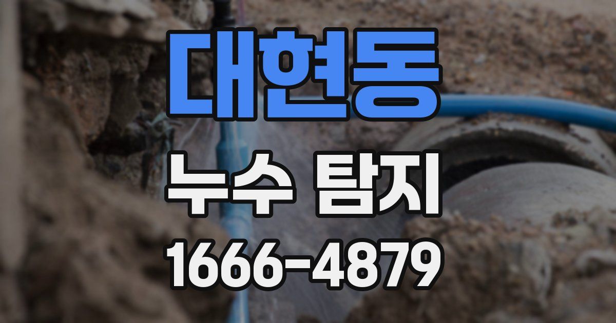대현동 누수 탐지