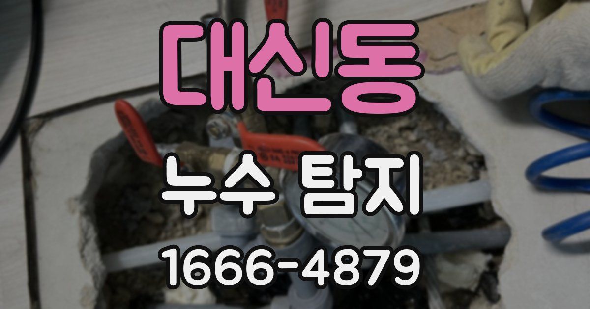 대신동 누수 탐지