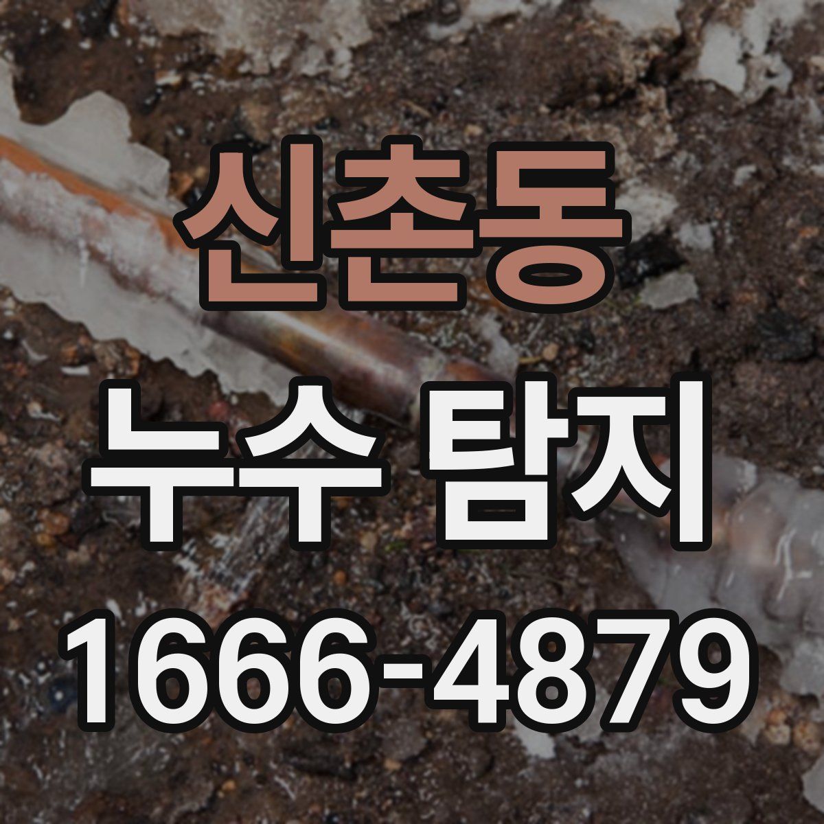 신촌동 누수 탐지