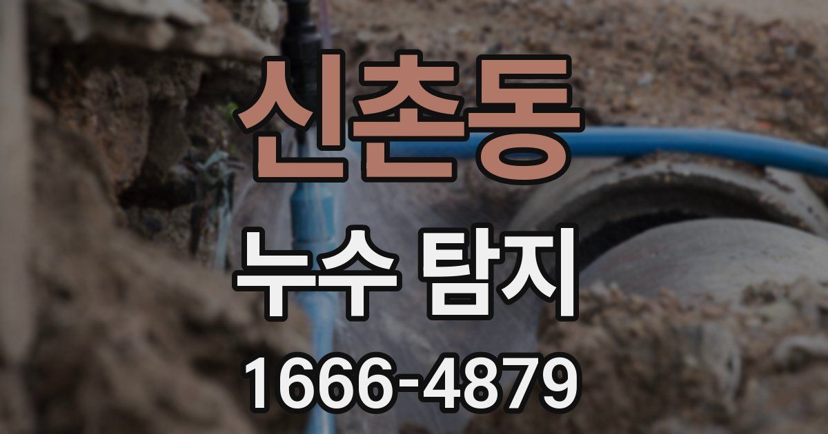 신촌동 누수 탐지