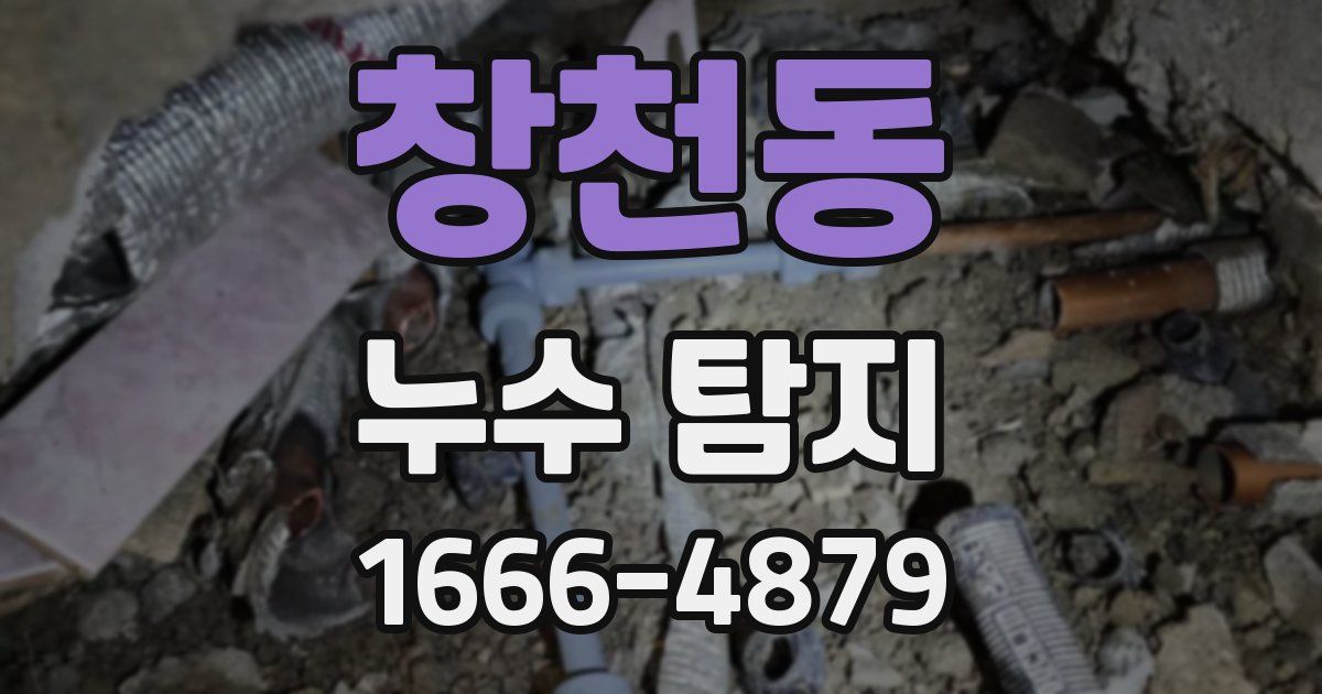 창천동 누수 탐지