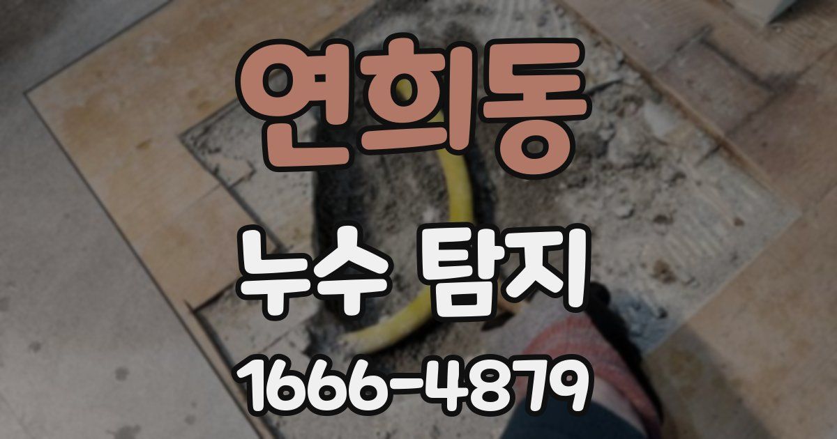 연희동 누수 탐지