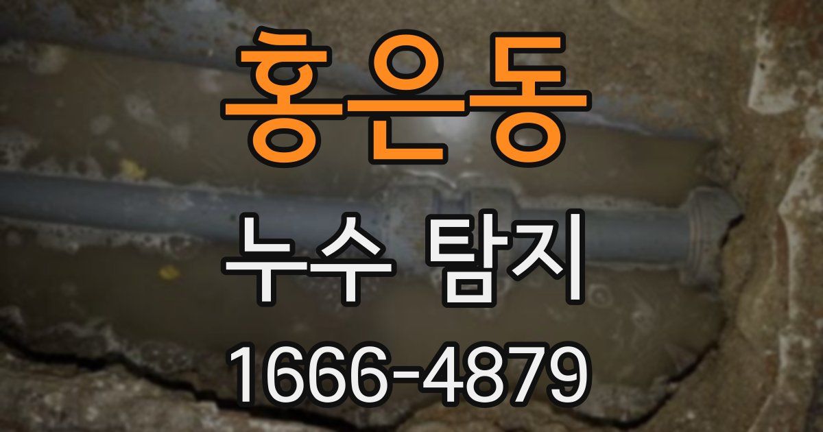 홍은동 누수 탐지