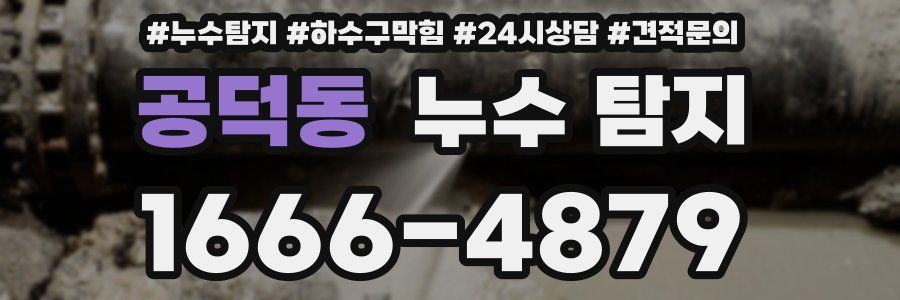 공덕동 누수 탐지