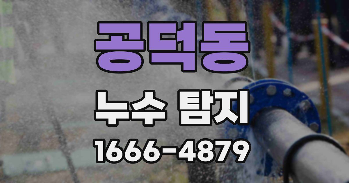 공덕동 누수 탐지