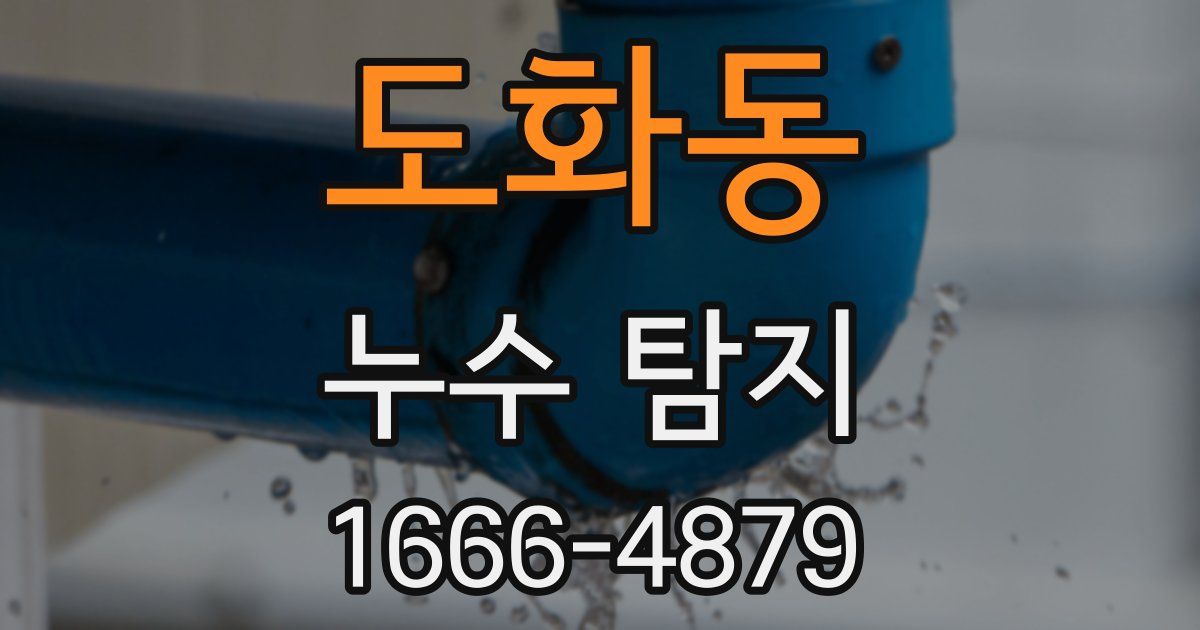 도화동 누수 탐지