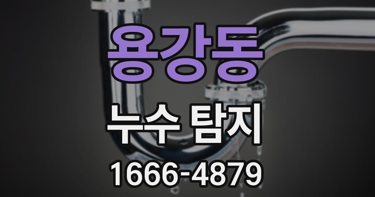 용강동 누수 탐지