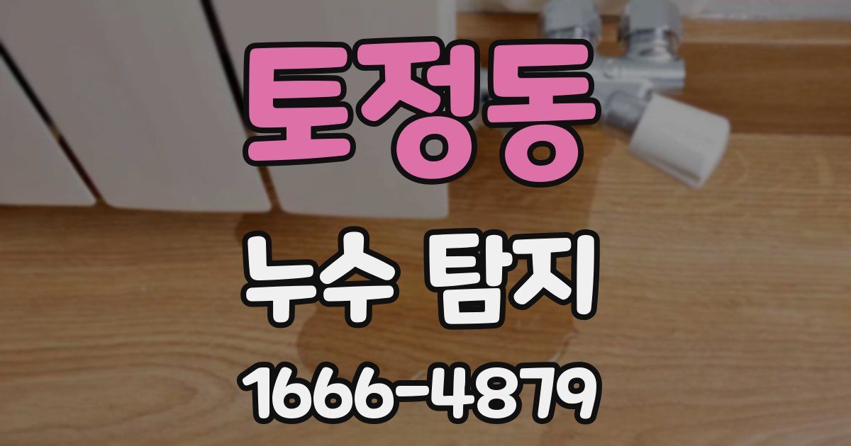 토정동 누수 탐지