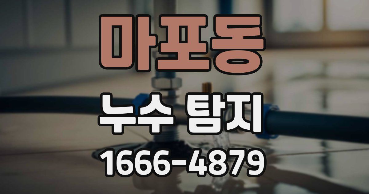 마포동 누수 탐지