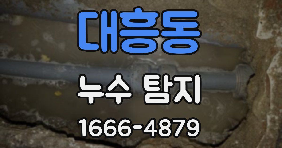 대흥동 누수 탐지