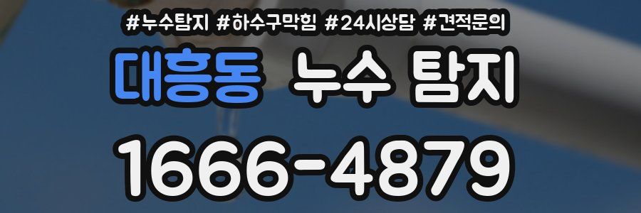 대흥동 누수 탐지