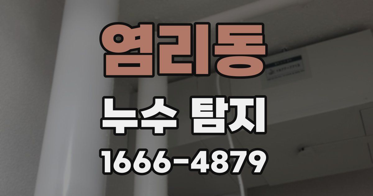 염리동 누수 탐지